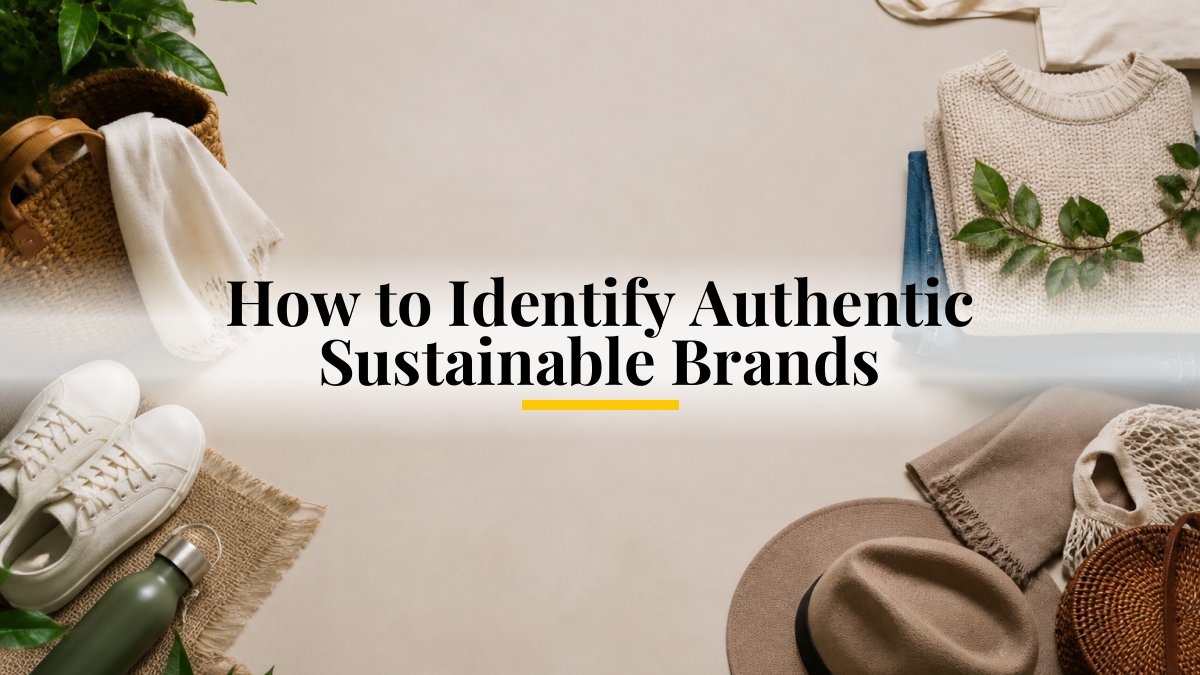 How to Identify Authentic Sustainable Brands