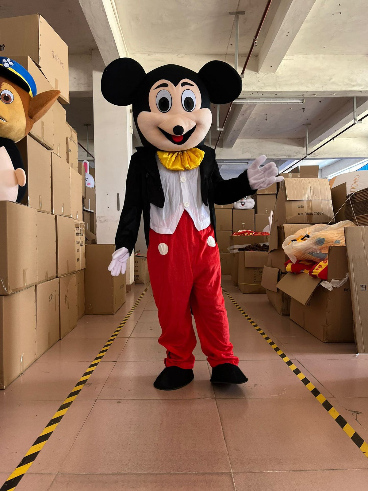 Mickey & Friends Puppet Costumes