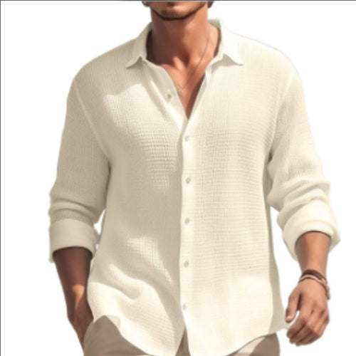 Plus Size Men's Casual Lapel Shirt