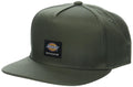 Dickies Mens Skateboarding Pro Cap Green