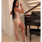 Glamour Nights Sequin Fringe Dress