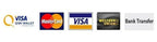 Accepted payment methods including Visa, Qiwi Wallet, MasterCard, Western Union, and Bank Transfer.