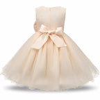 Ancient Energy princess flower girl dress in summer tutu style, suitable for wedding and birthday party events.