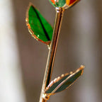 24K gold-plated rose gift by MANDOTOS, showcasing a beautifully crafted golden rose on a clear display stand