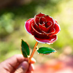 24K gold-plated rose gift by MANDOTOS, showcasing a detailed gold rose with elegant packaging and a luxurious appearance.