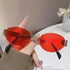 Women's geometric PC sunglasses with elliptical metal frames, large and stylish, by MANDOTOS INTERNATIONAL.
