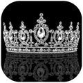 Mandotos International Regalia Crest Rhinestone Tiara showcasing sparkling rhinestones and intricate crown design.